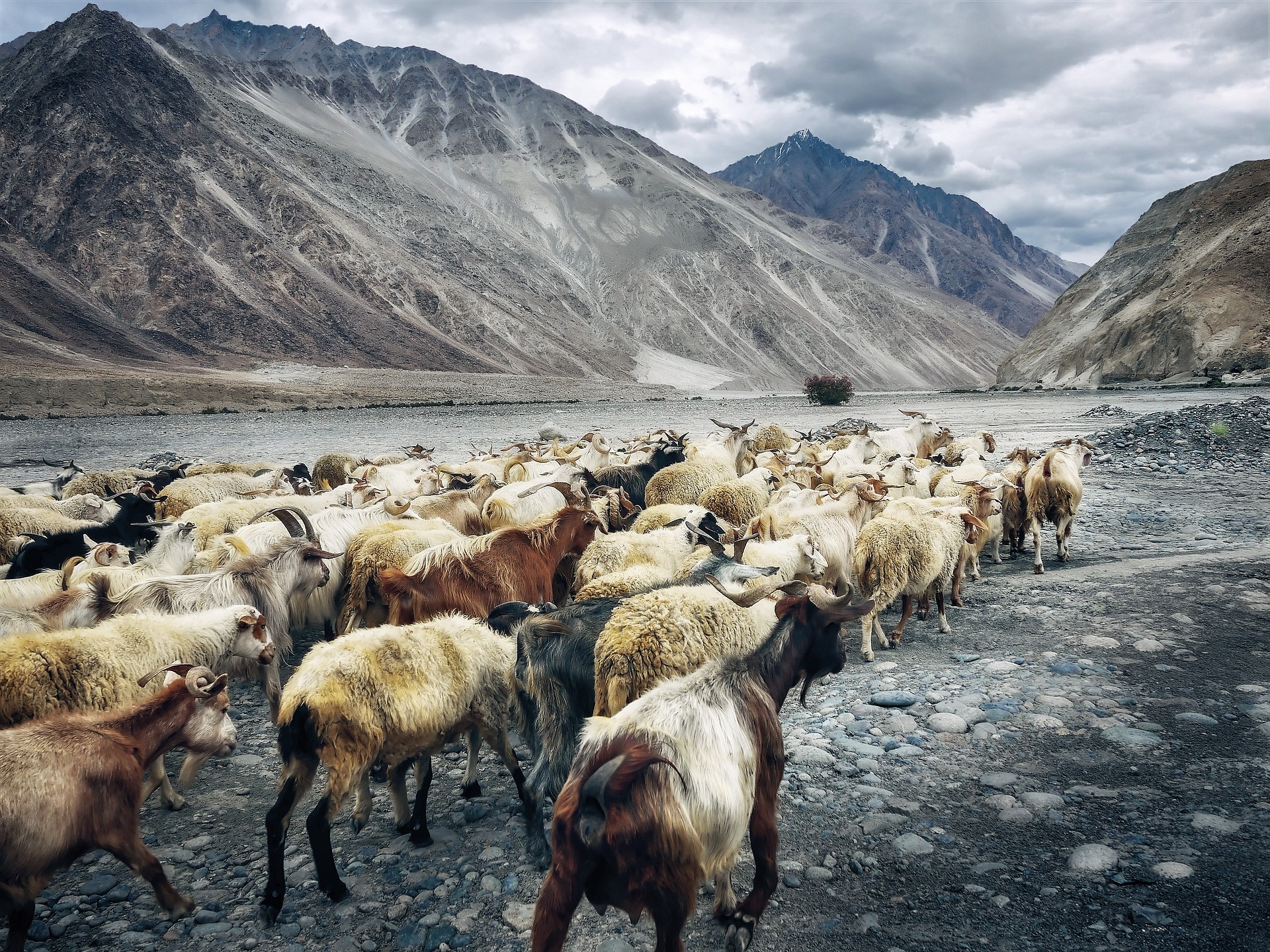 La Valle Segreta: Ladakh e Zanskar