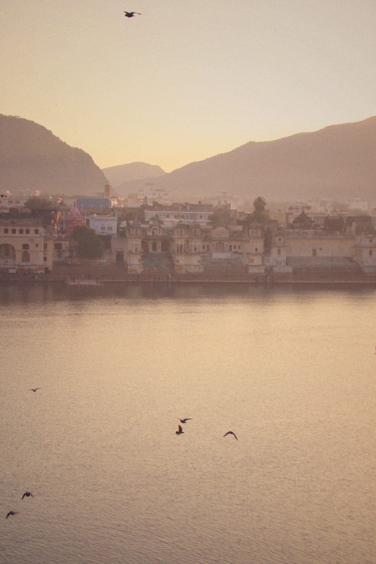 Pushkar, Samsara Roads Lago di Pushkar al tramonto, Samsara Roads